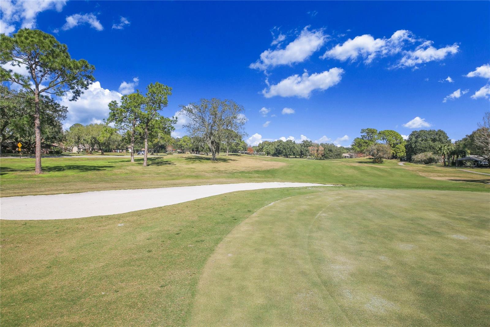 Image 46 of 50 For 459 Pinehurst Court