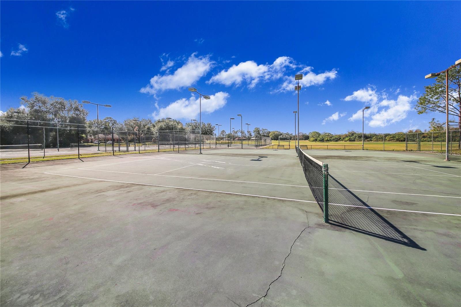 Image 47 of 50 For 459 Pinehurst Court