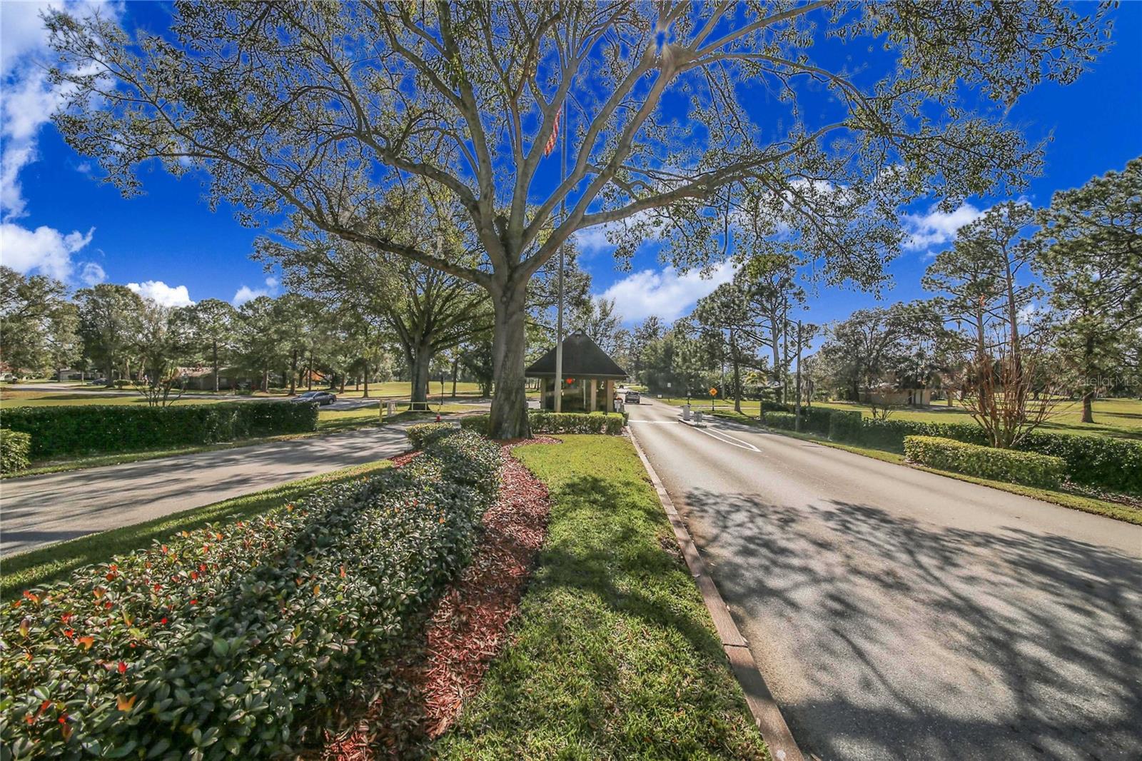 Image 48 of 50 For 459 Pinehurst Court