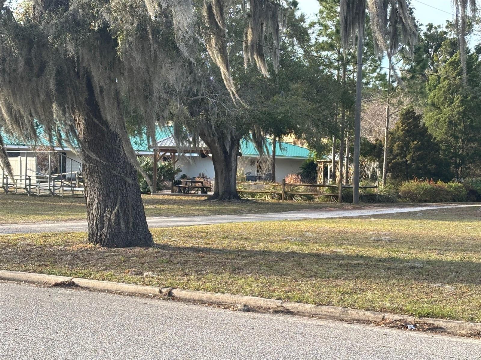 Image 20 of 20 For 255 Pomelo Street