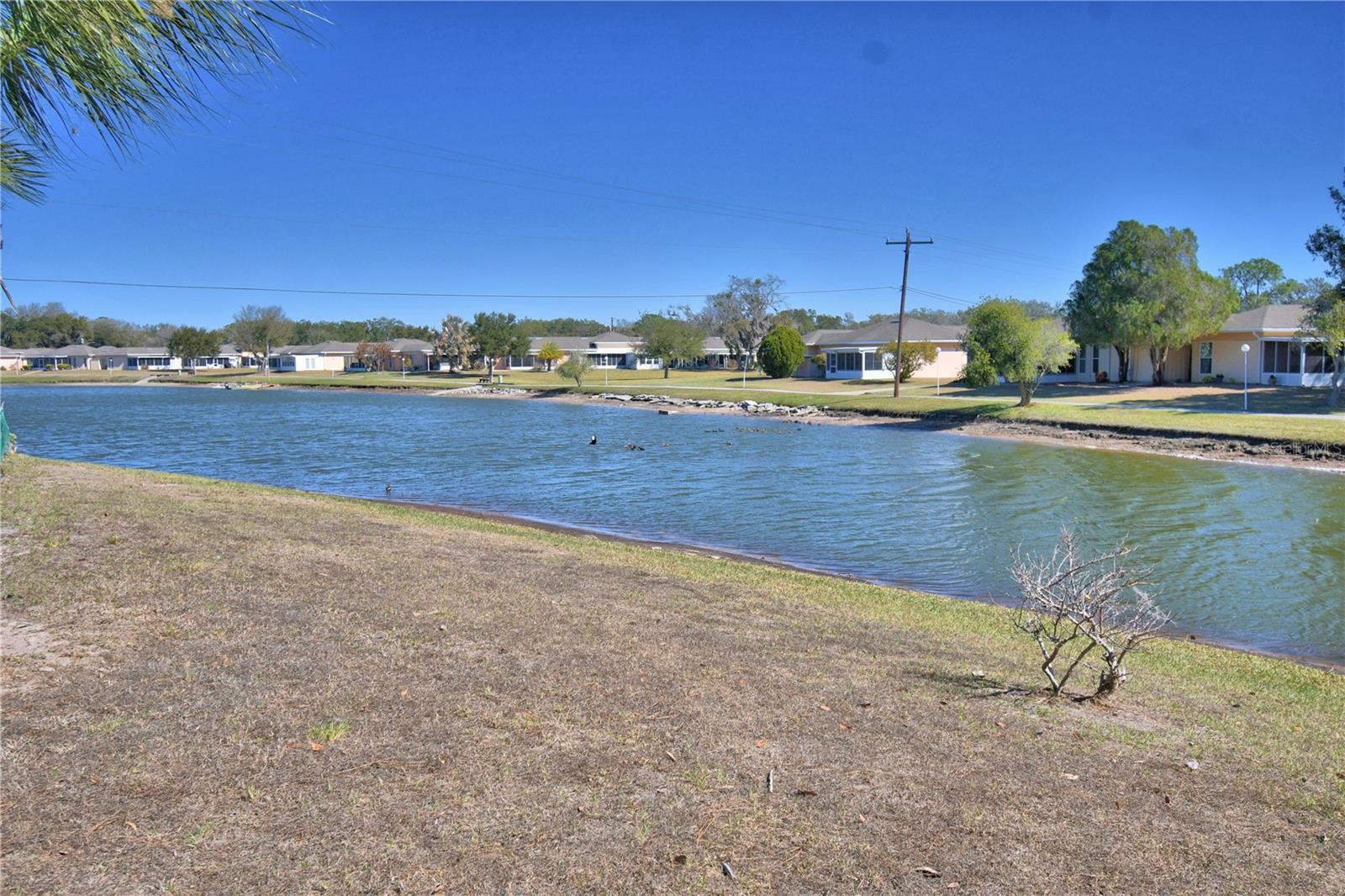 Image 47 of 49 For 2319 Club Circle