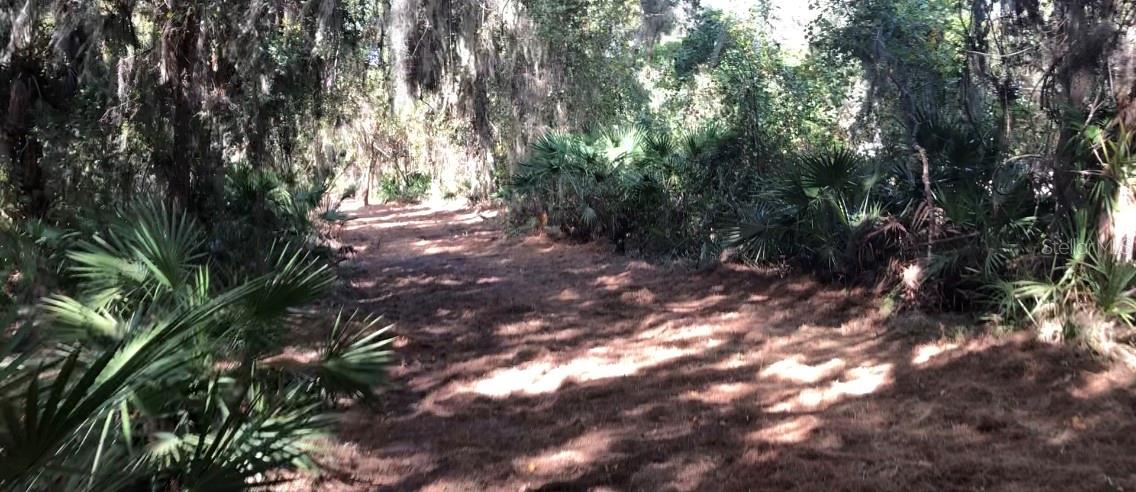 Image 2 of 8 For Lake Reedy Boulevard N