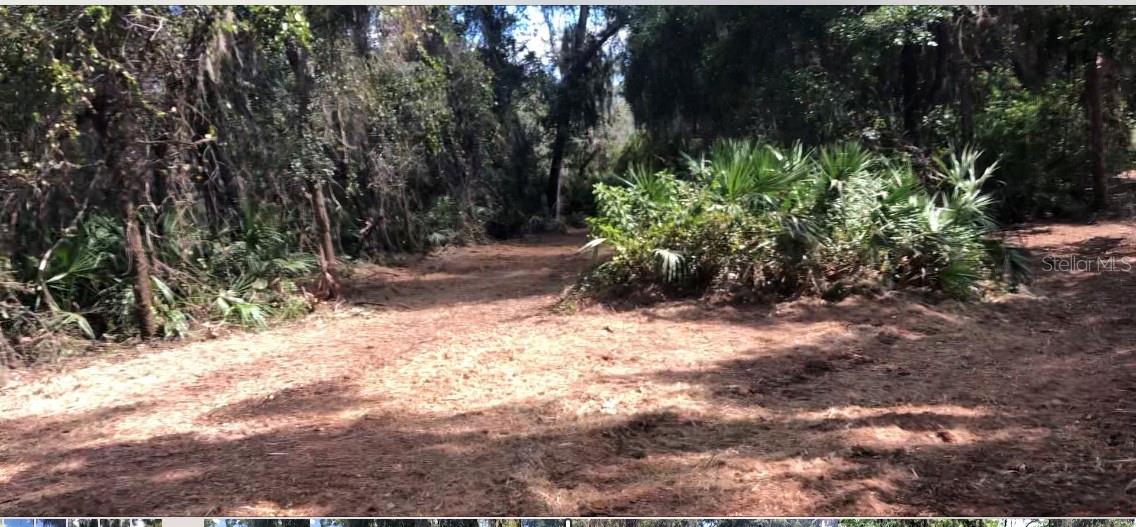 Image 5 of 8 For Lake Reedy Boulevard N