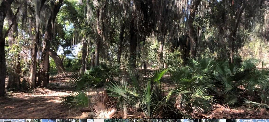 Image 7 of 8 For Lake Reedy Boulevard N