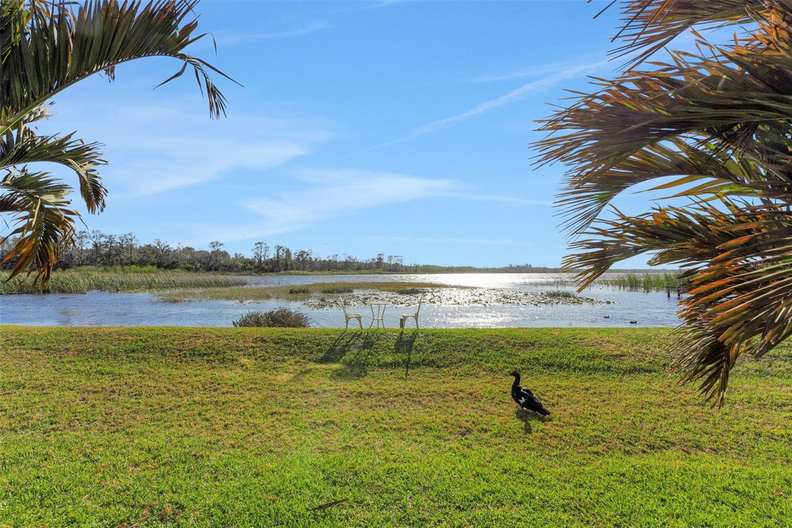 Image 4 of 22 For 410 Orange Blossom Drive