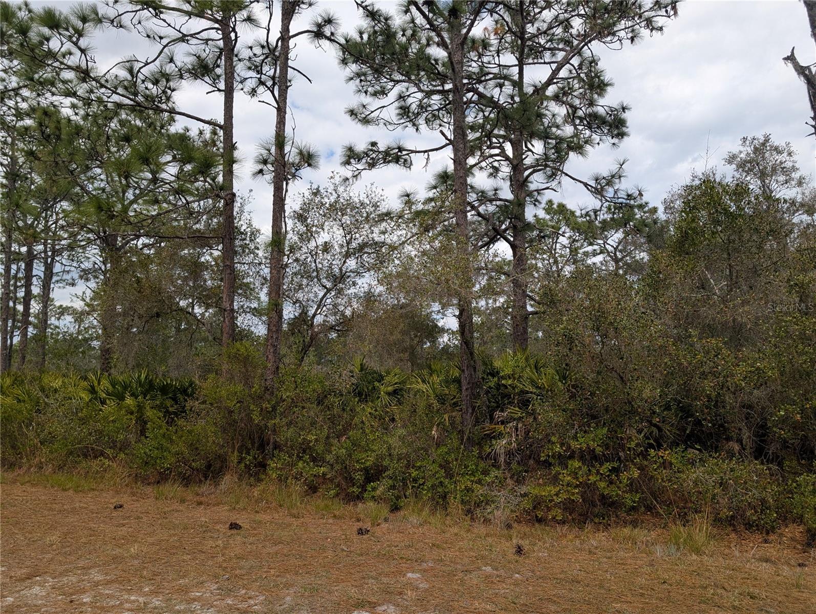 Image 2 of 45 For 416 Bougainville Drive