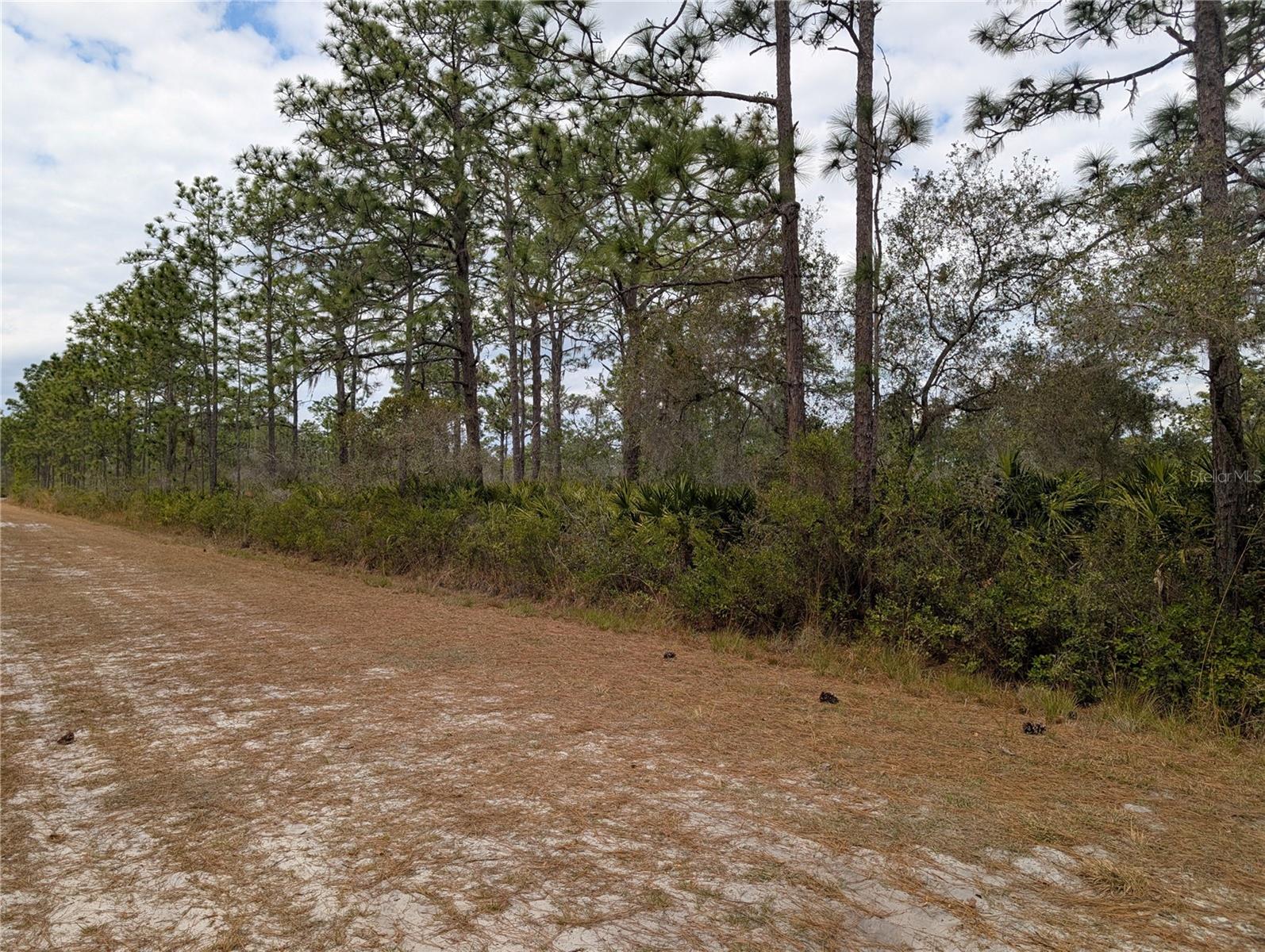 Image 4 of 45 For 416 Bougainville Drive