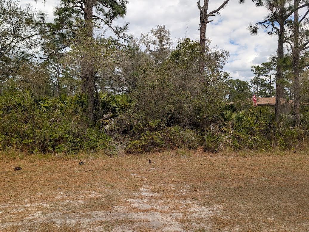 Image 5 of 45 For 416 Bougainville Drive