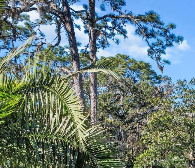 Image 12 of 40 For 1304 5th Avenue