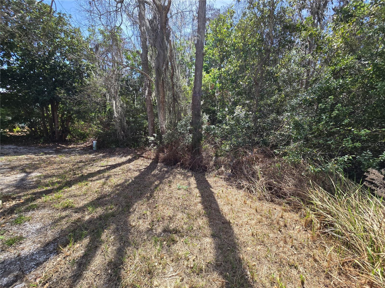 Image 7 of 58 For 7139 Alamanda Boulevard W