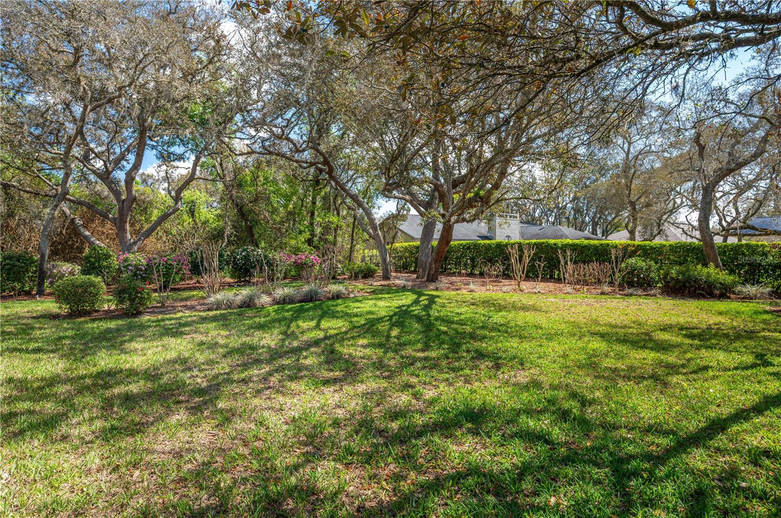 Image 12 of 43 For 41 Spring Lane