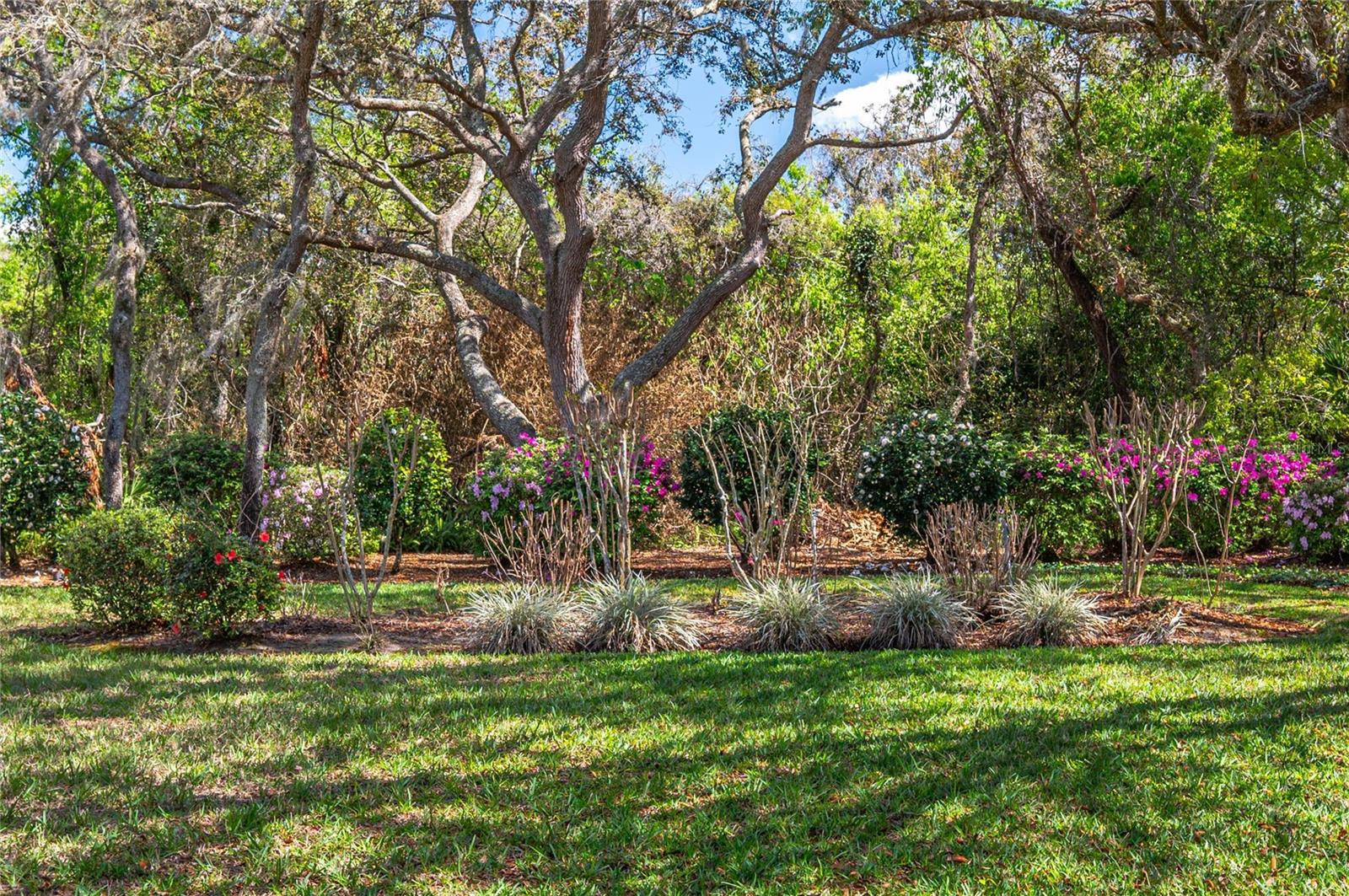 Image 13 of 43 For 41 Spring Lane