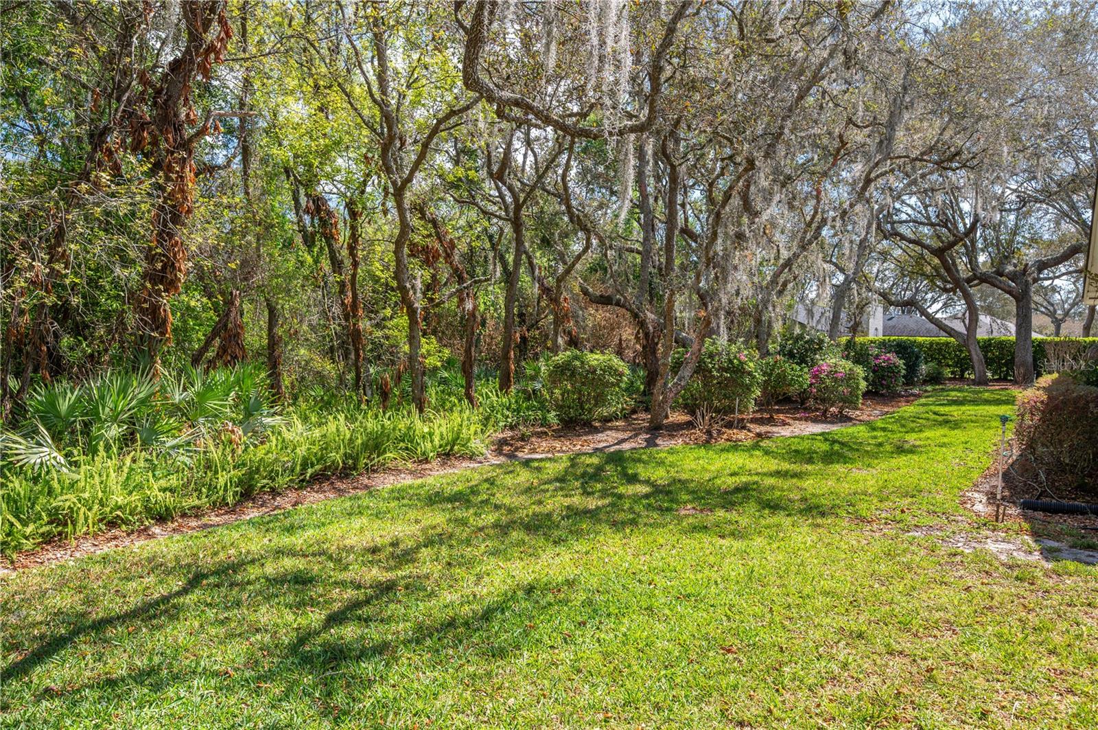 Image 9 of 43 For 41 Spring Lane