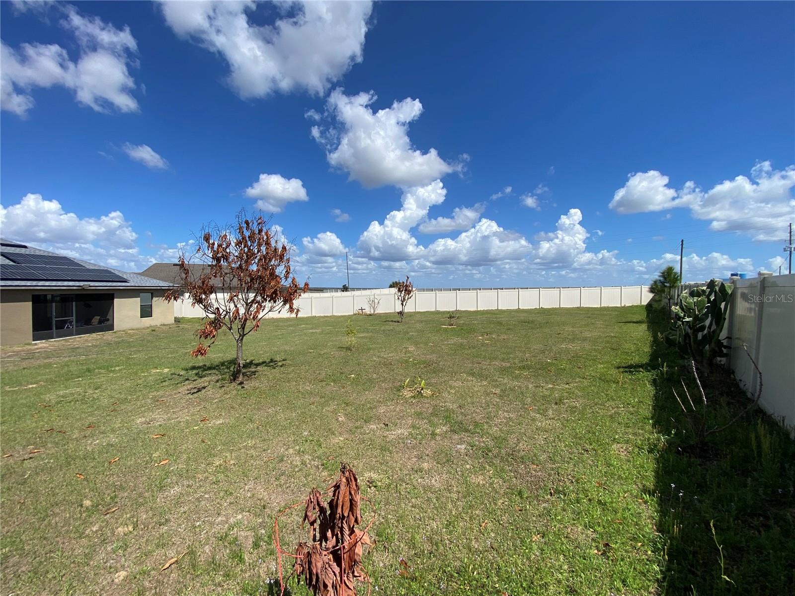 Image 58 of 68 For 1919 Amber Sweet Circle