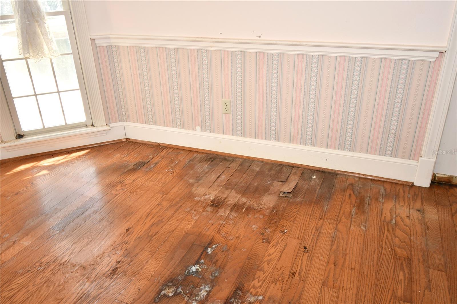 Image 11 of 29 For 600 Old Eustis Road