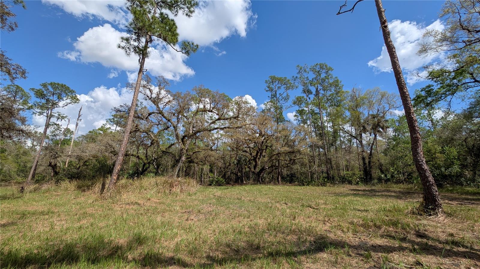 Details for Gillette Road, ZOLFO SPRINGS, FL 33890