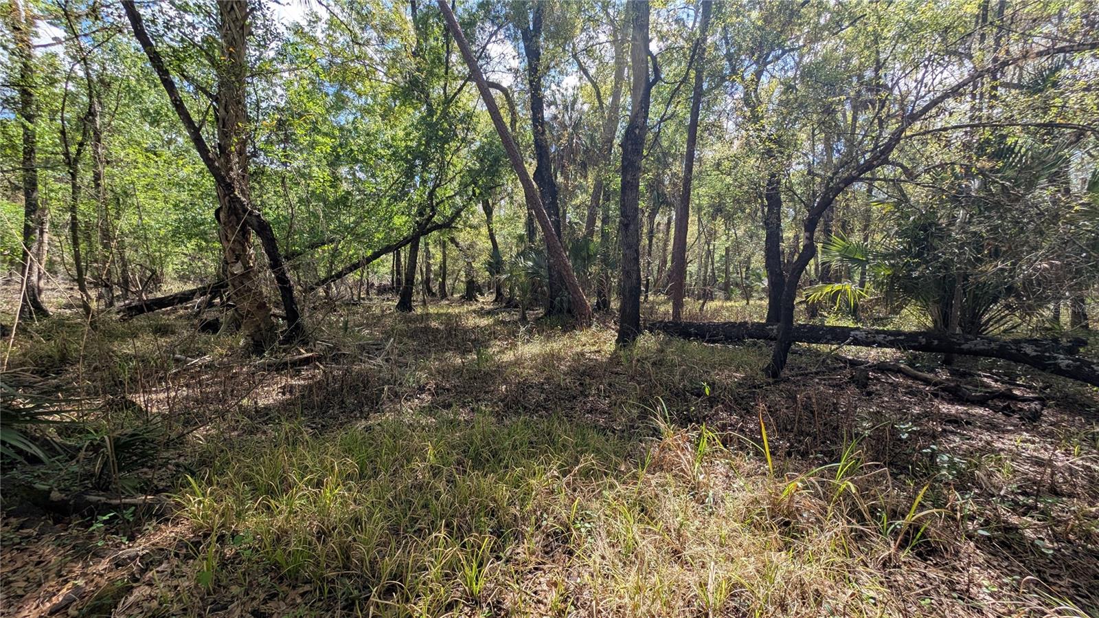 Image 15 of 86 For Gillette Road