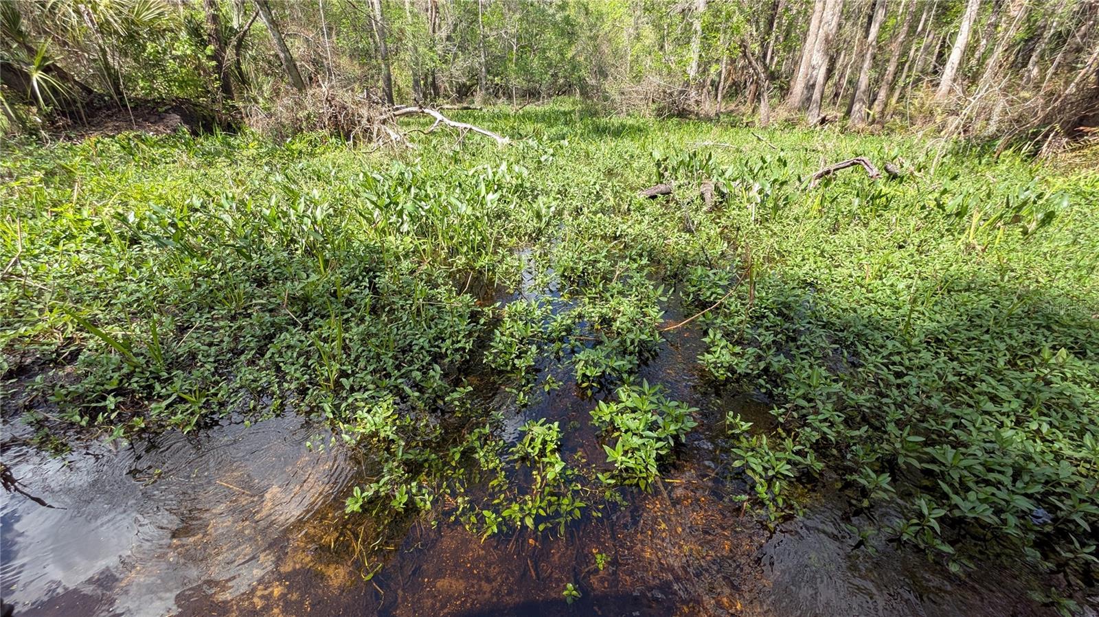 Image 17 of 86 For Gillette Road