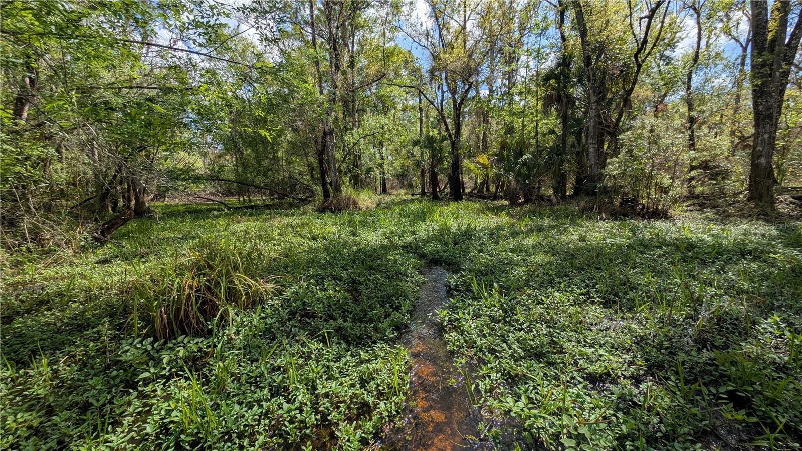 Image 2 of 86 For Gillette Road