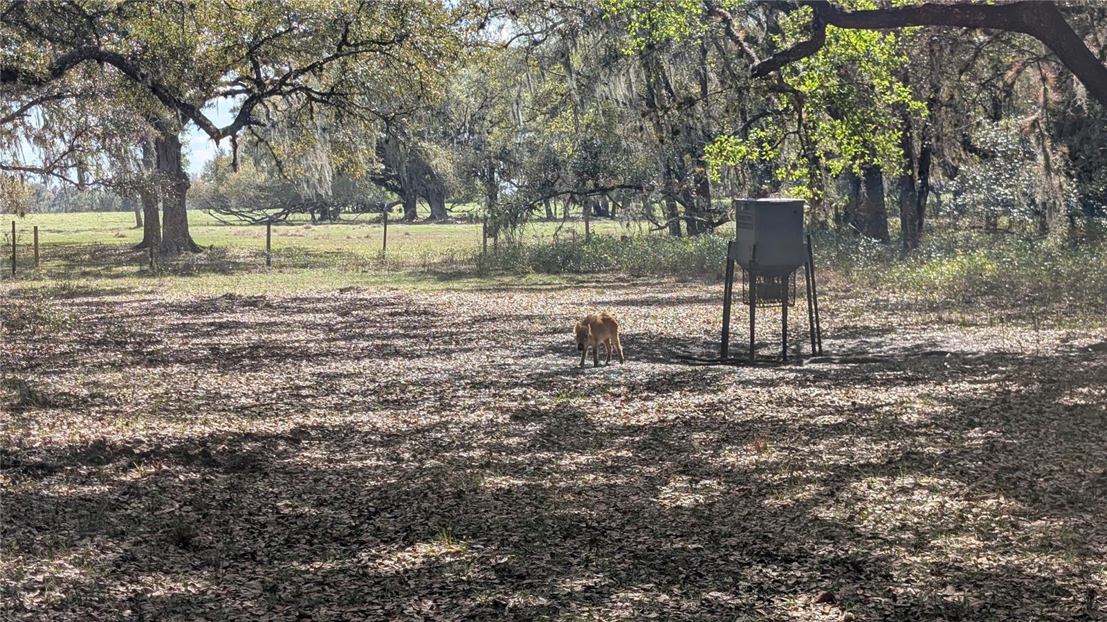 Image 25 of 86 For Gillette Road