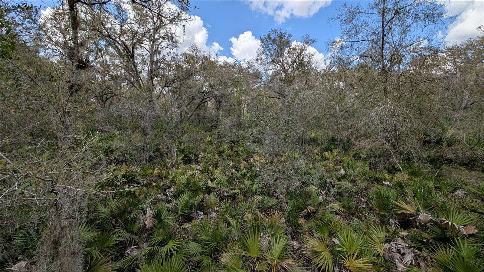 Image 29 of 86 For Gillette Road