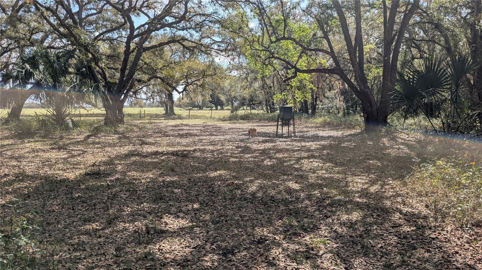 Image 37 of 86 For Gillette Road