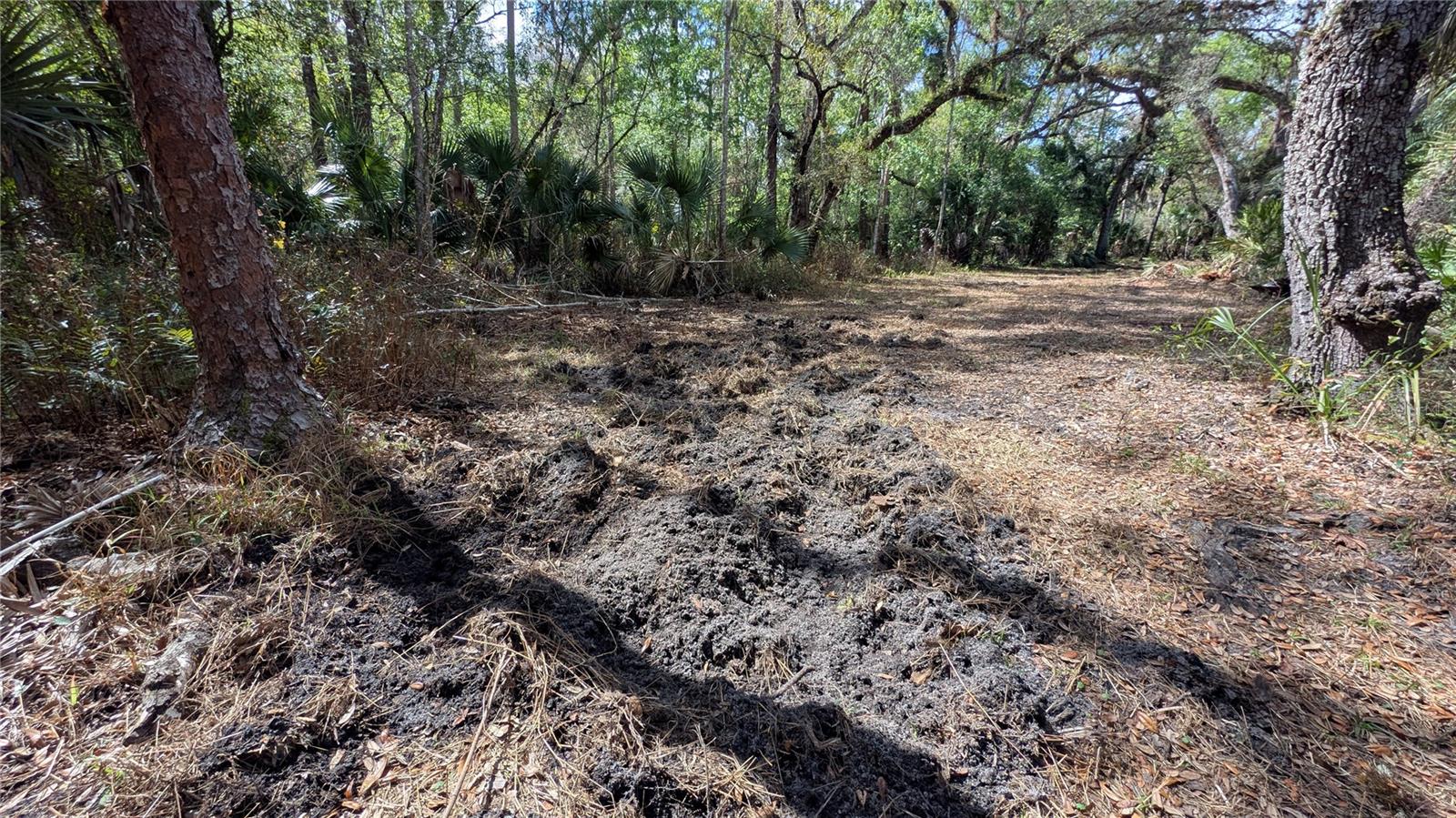 Image 40 of 86 For Gillette Road