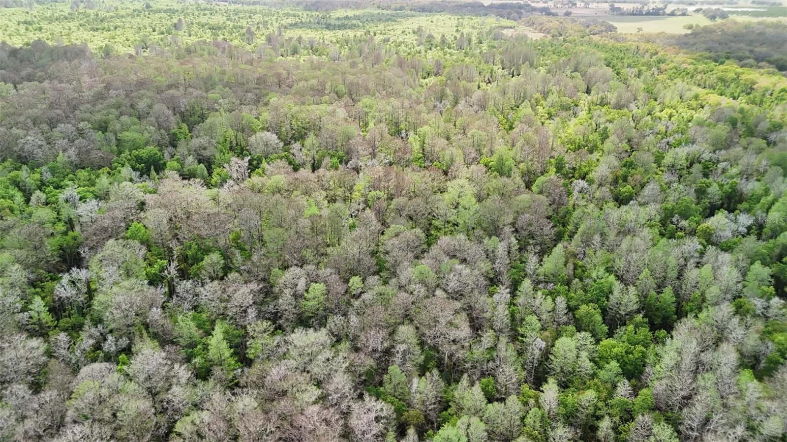 Image 43 of 86 For Gillette Road