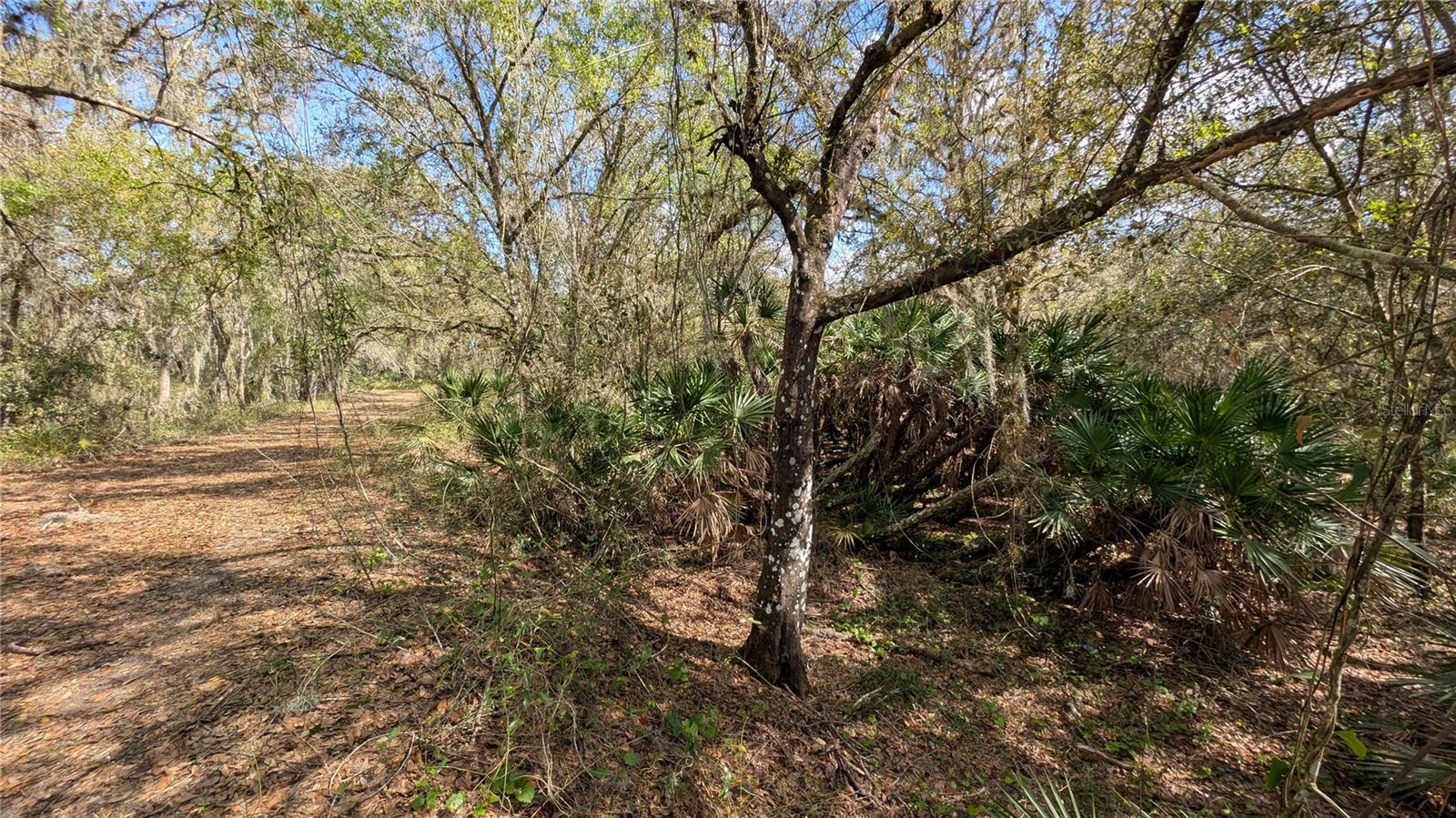 Image 49 of 86 For Gillette Road