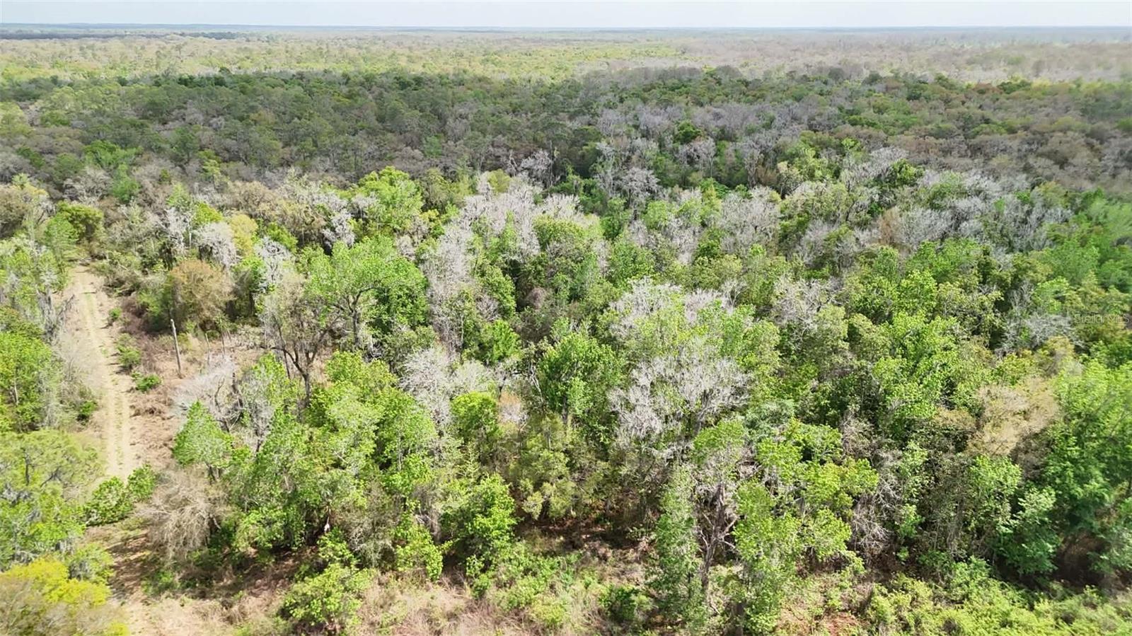 Image 5 of 86 For Gillette Road