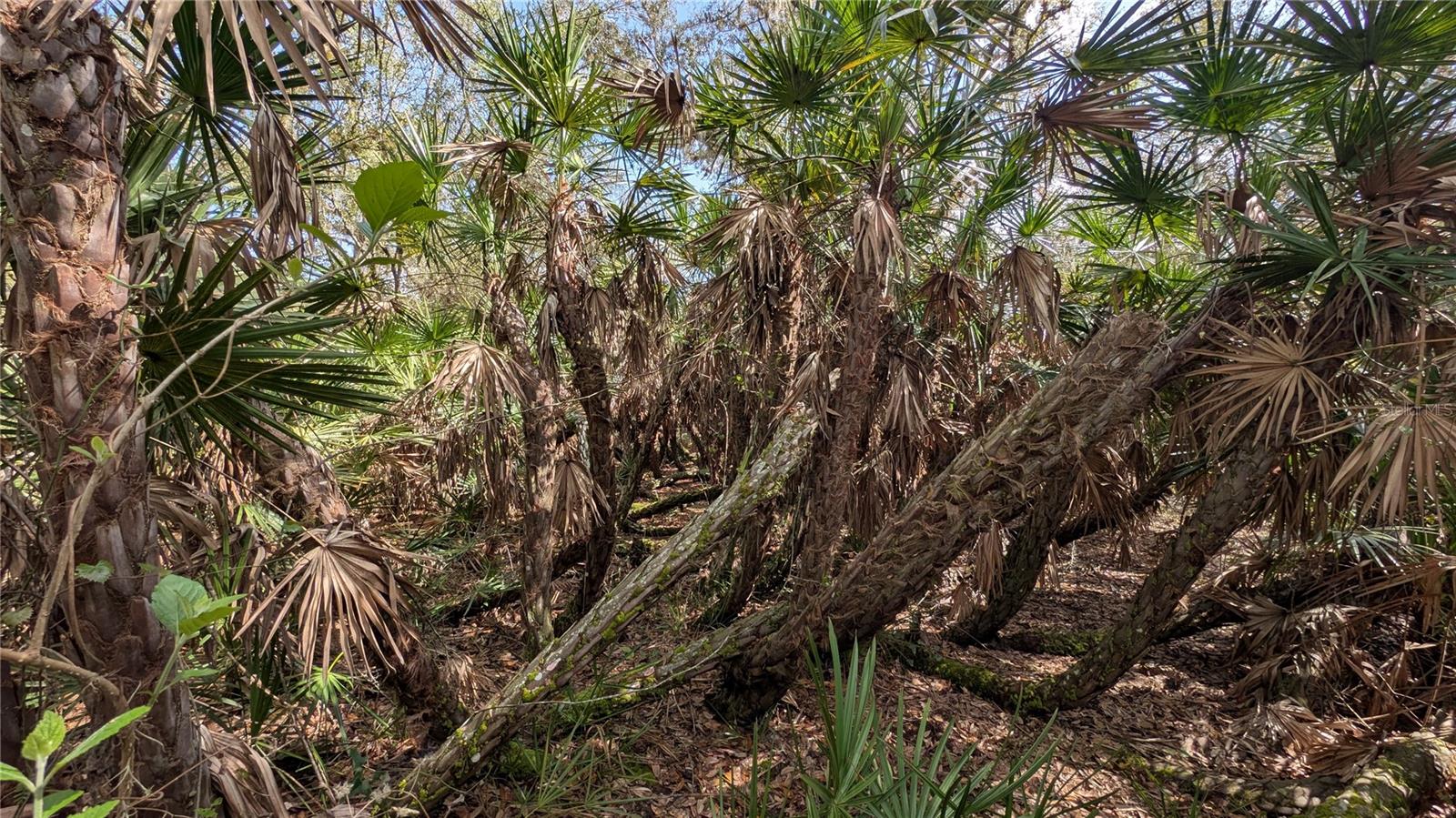 Image 50 of 86 For Gillette Road