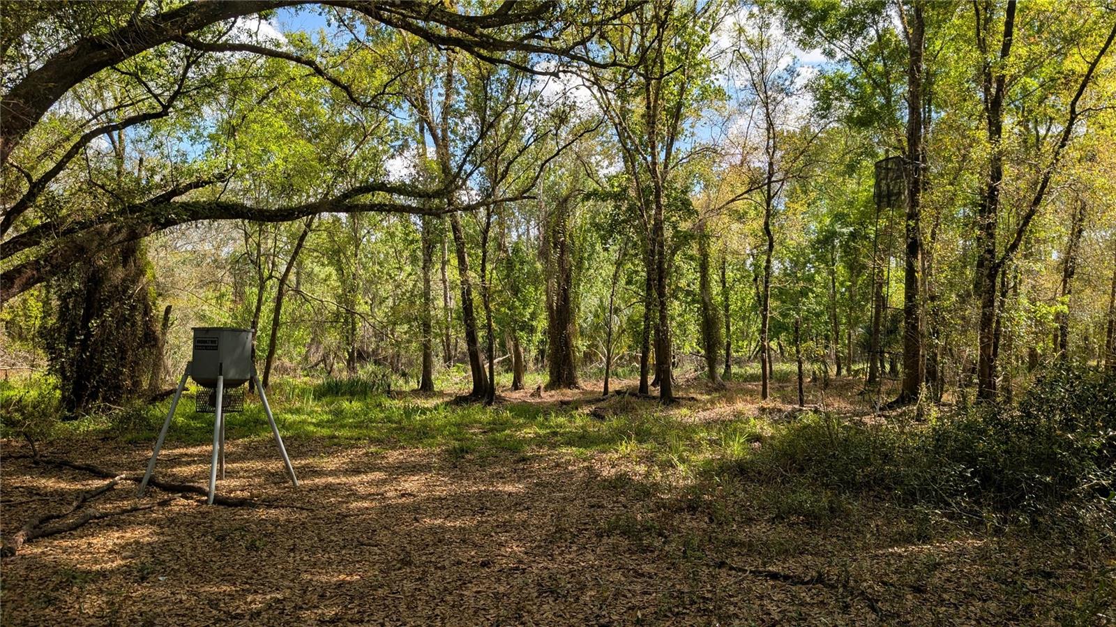 Image 56 of 86 For Gillette Road