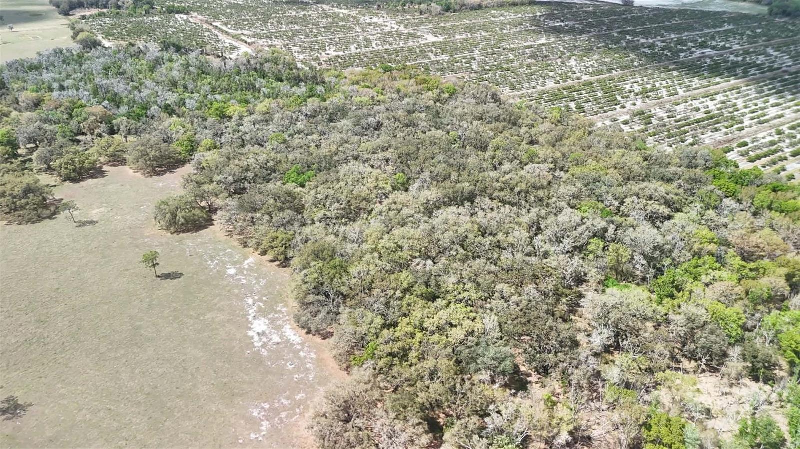 Image 58 of 86 For Gillette Road