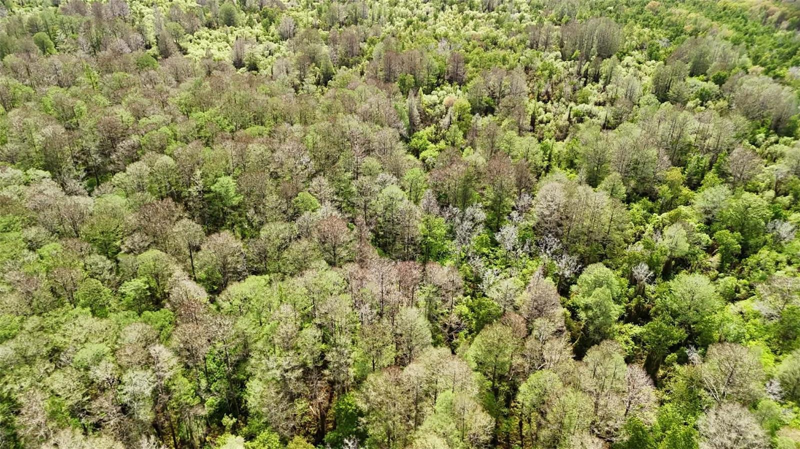 Image 61 of 86 For Gillette Road