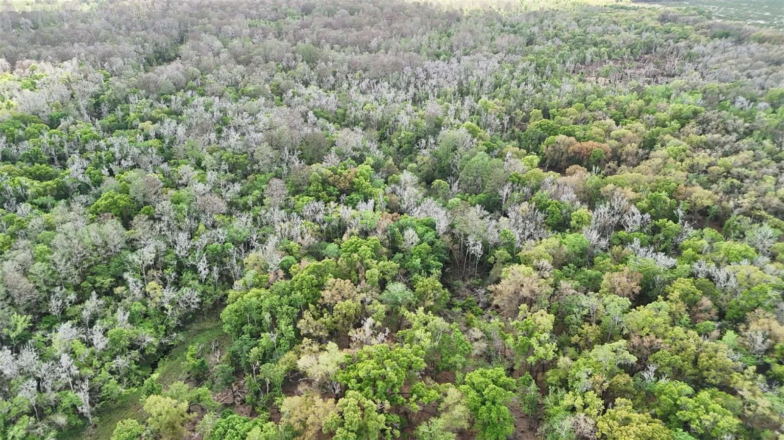 Image 62 of 86 For Gillette Road