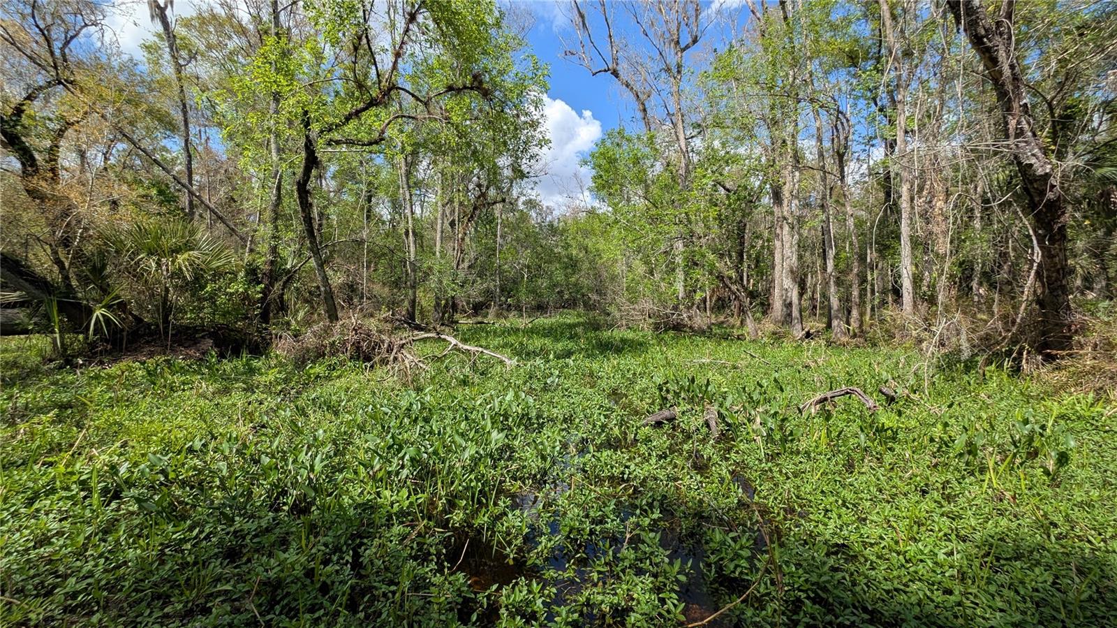 Image 68 of 86 For Gillette Road