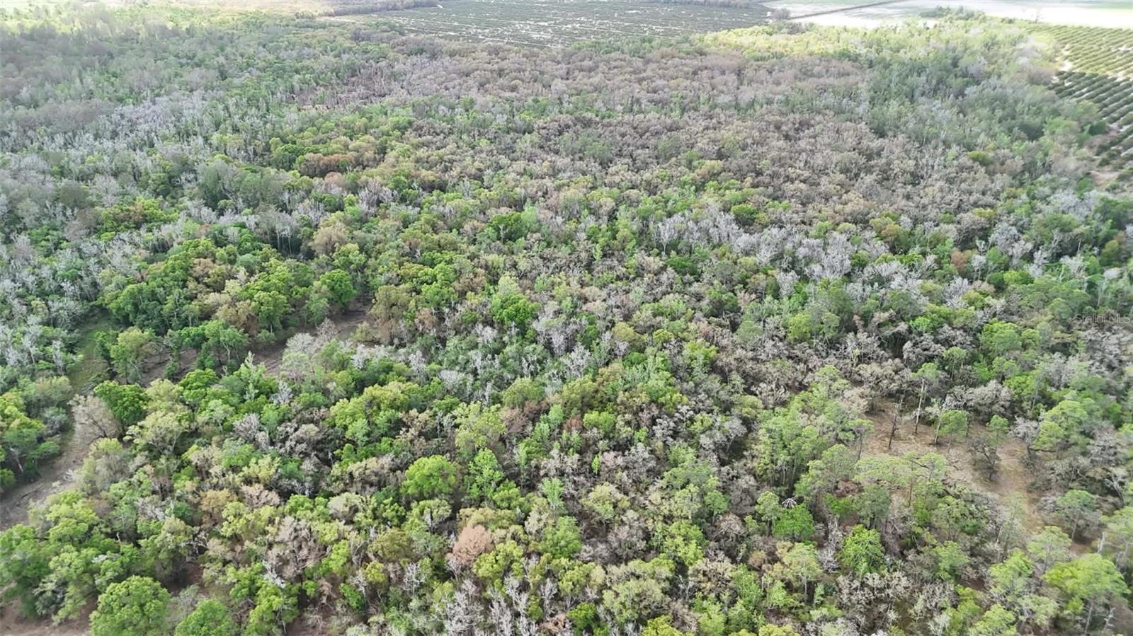 Image 69 of 86 For Gillette Road