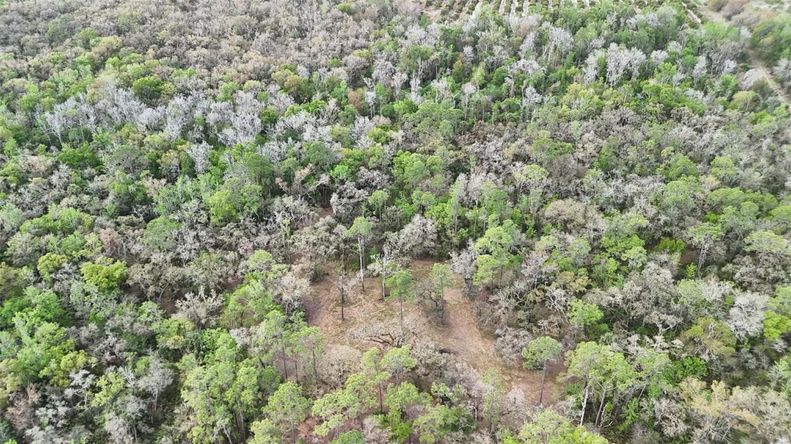 Image 70 of 86 For Gillette Road