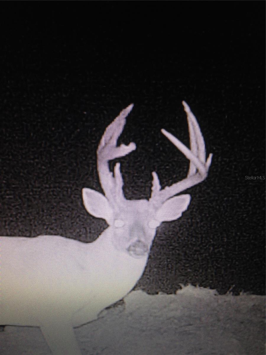 Image 72 of 86 For Gillette Road