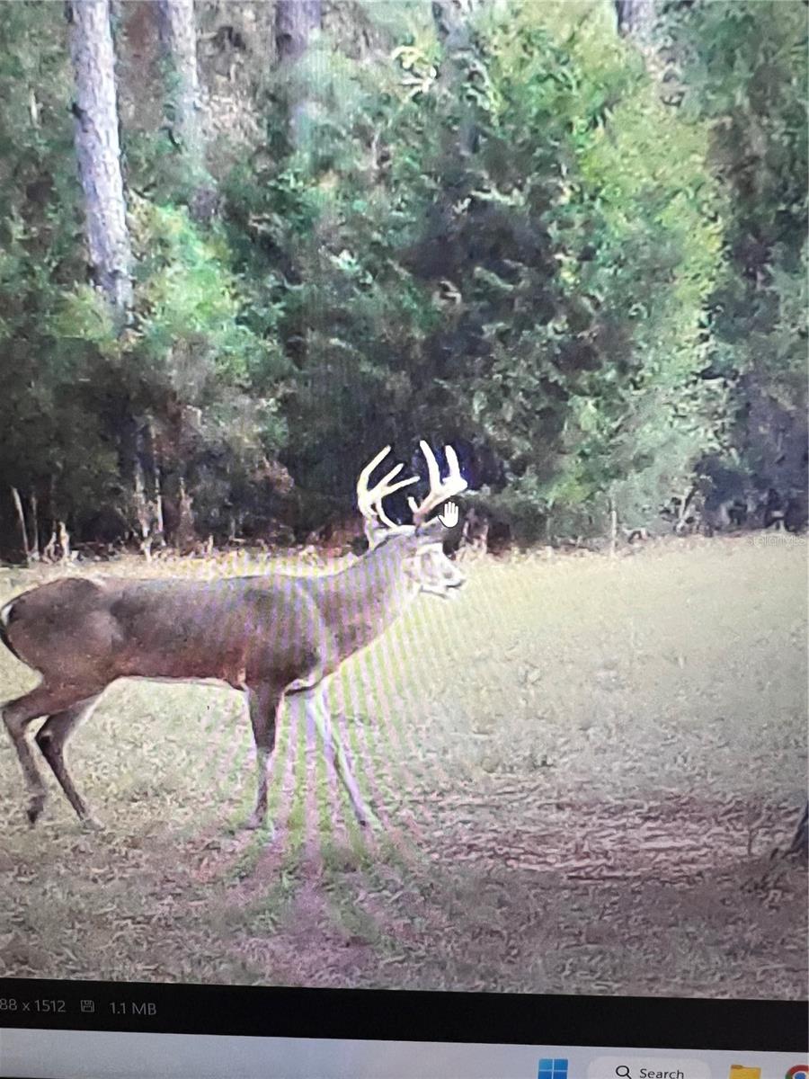 Image 73 of 86 For Gillette Road