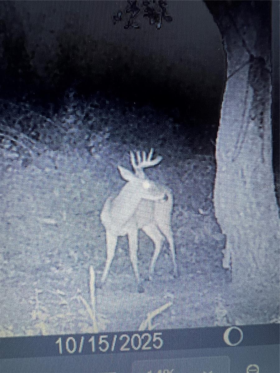 Image 74 of 86 For Gillette Road