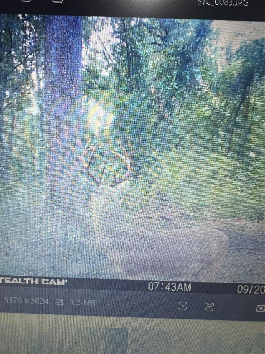 Image 75 of 86 For Gillette Road