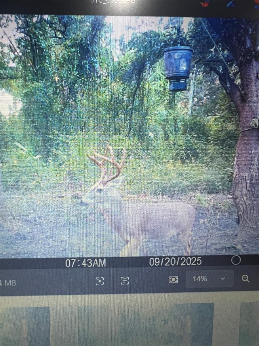 Image 76 of 86 For Gillette Road