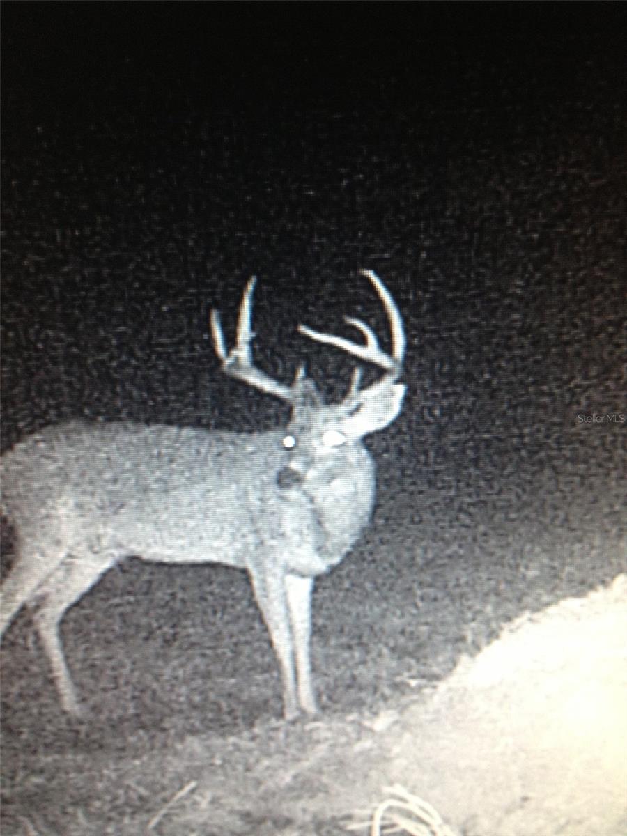 Image 77 of 86 For Gillette Road