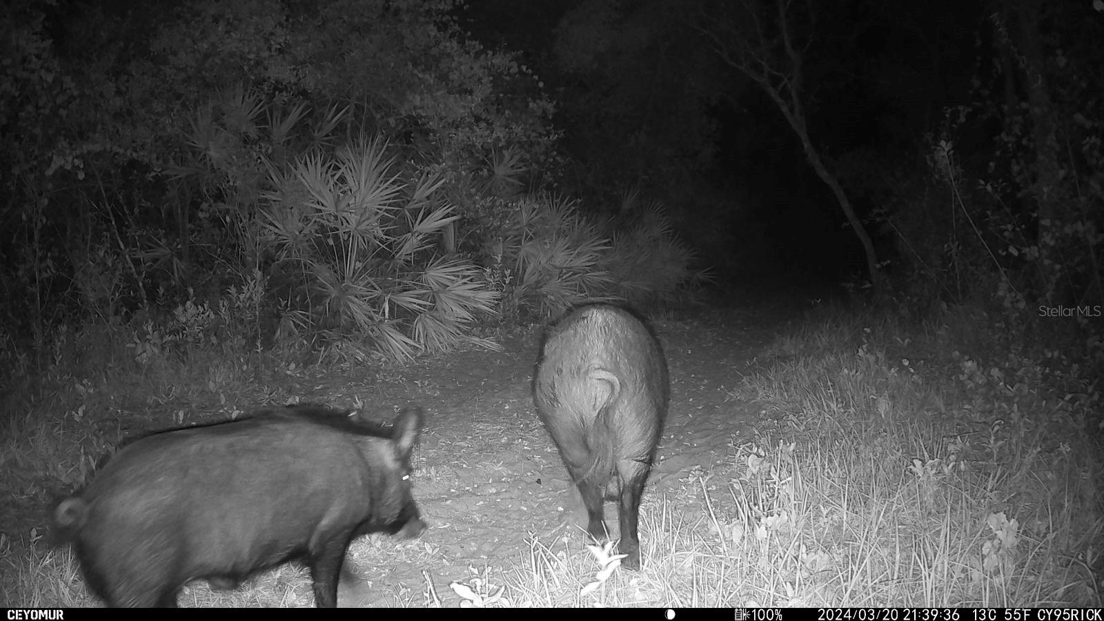 Image 78 of 86 For Gillette Road