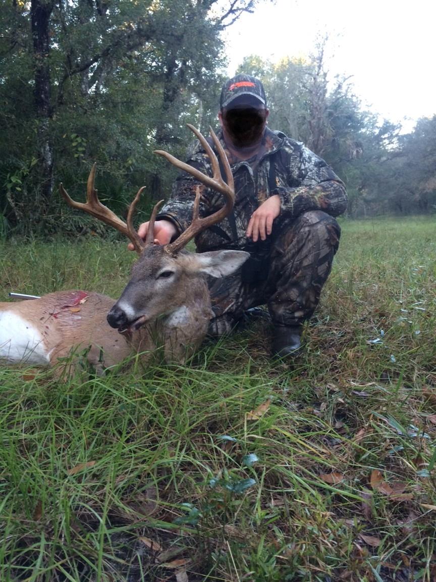 Image 80 of 86 For Gillette Road