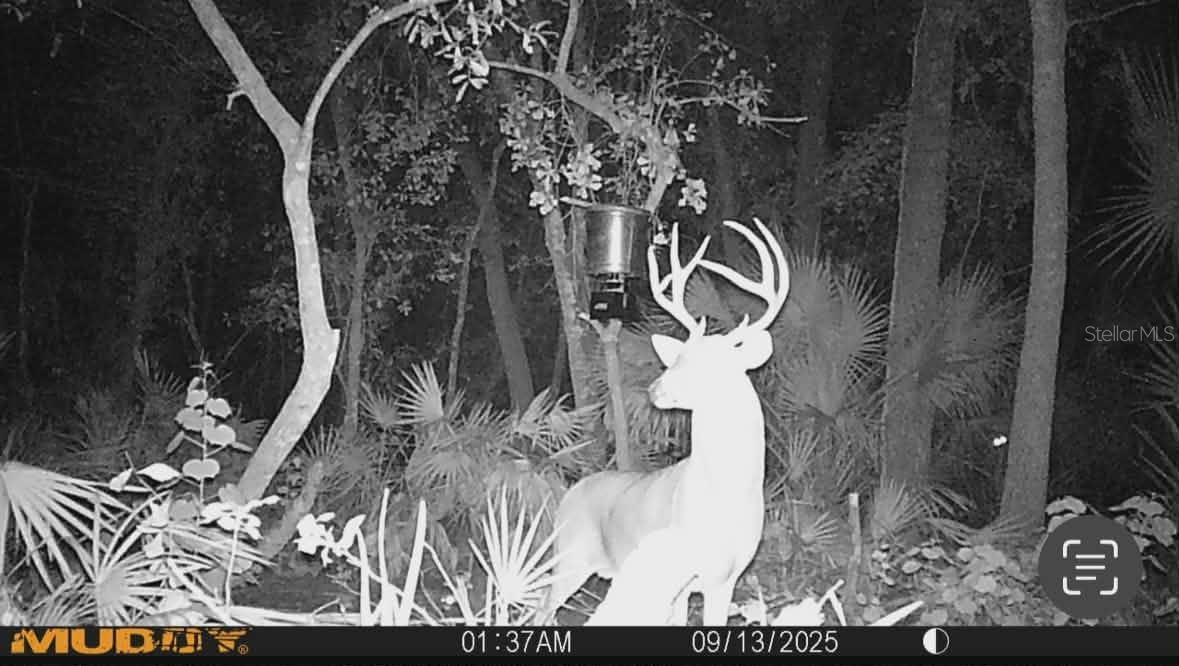 Image 81 of 86 For Gillette Road