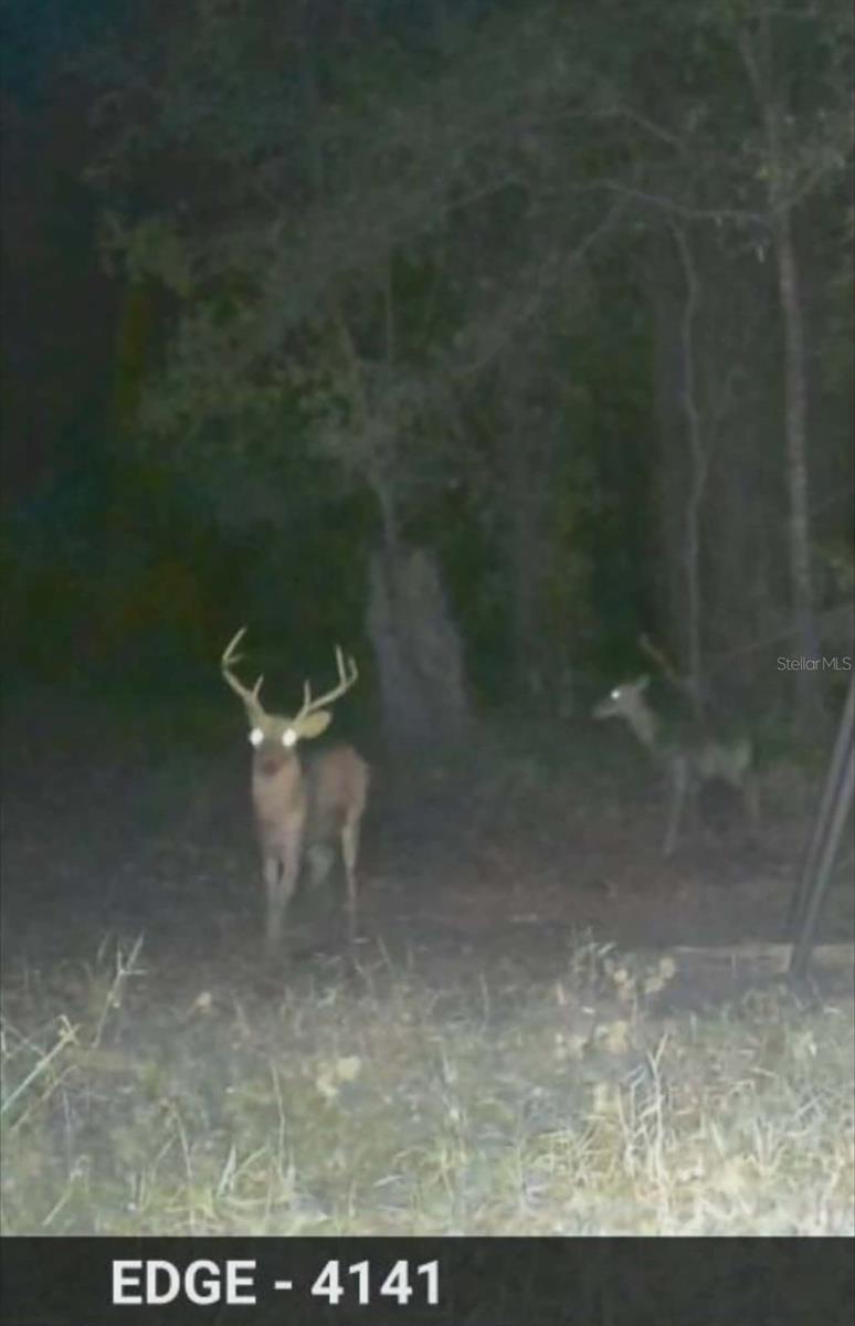 Image 82 of 86 For Gillette Road