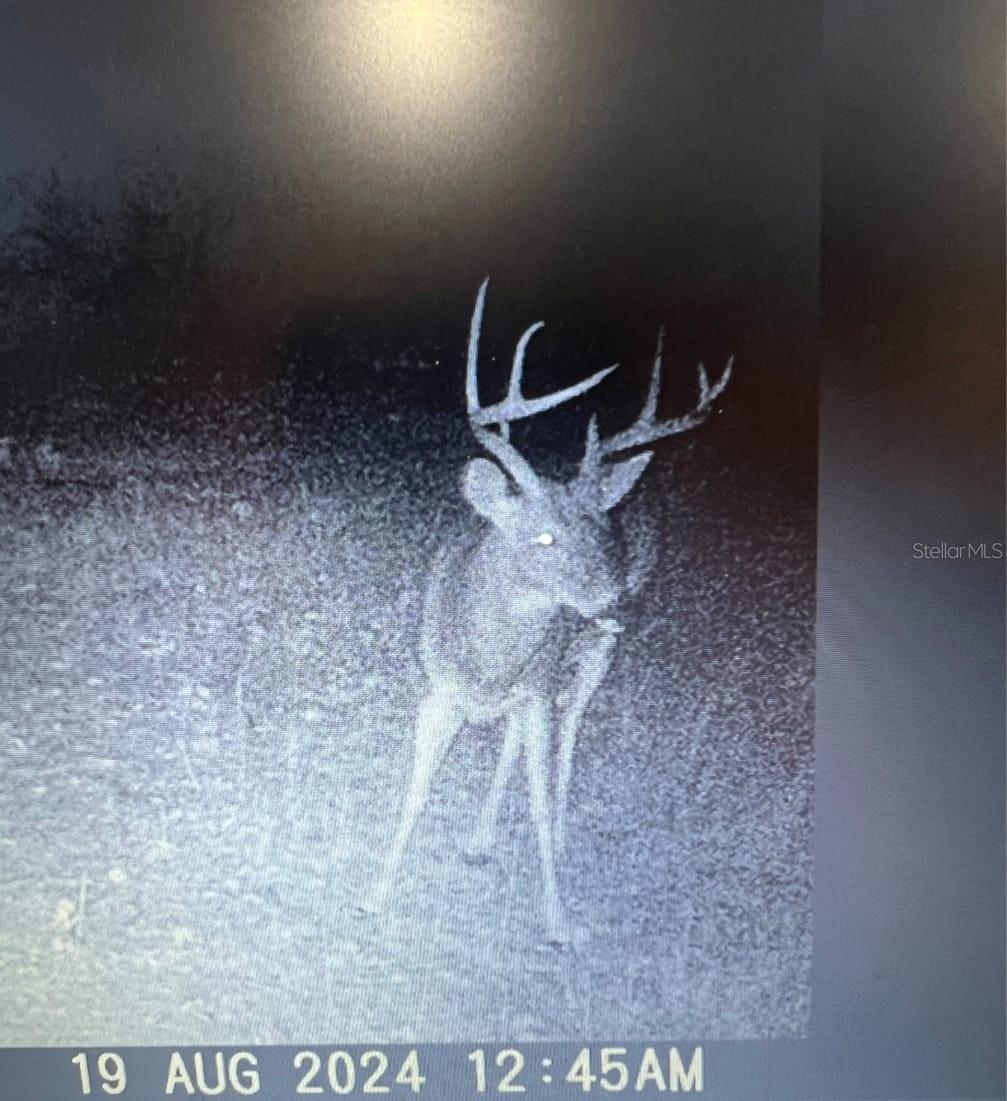 Image 83 of 86 For Gillette Road