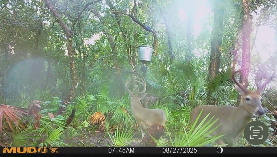 Image 84 of 86 For Gillette Road